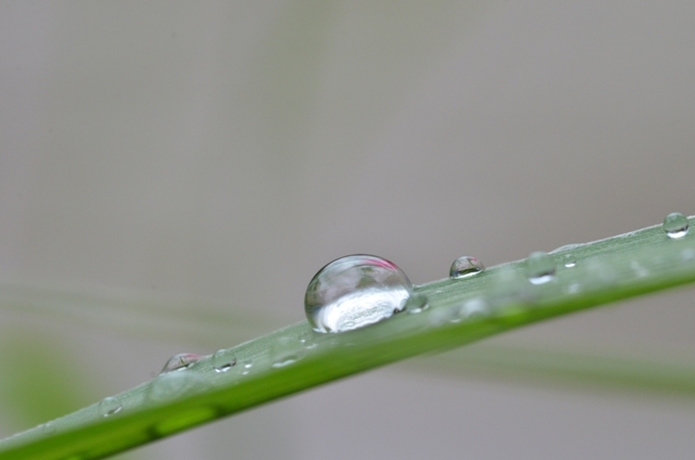 Profi-Gartengestaltung